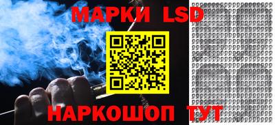 прущие грибы Кандалакша