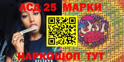 прущие грибы Кандалакша