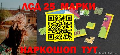 прущие грибы Кандалакша