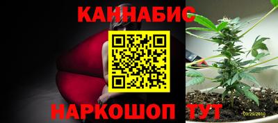 не бодяженный Камышлов