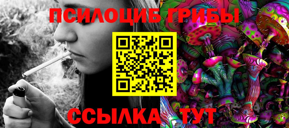 Галлюциногенные грибы MAGIC MUSHROOMS  Псилоцибиновые грибы GOLDEN TEACHER  Вход с VPN  Котлас 
